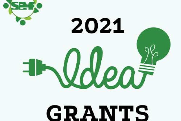 SEF-News-and-Events-Page-500-IDEA-Grants